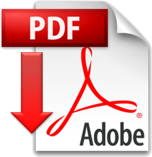 tl_files/download/pdf_logo.png